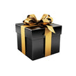 Mystery Gift